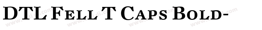 DTL Fell T Caps Bold字体转换